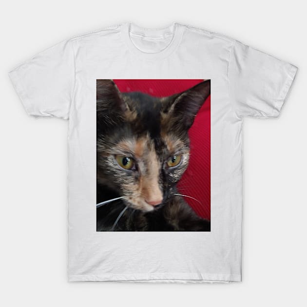 Scrapper-doodles T-Shirt by DMArtwork